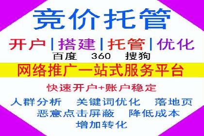 百度推广运营实战技巧：案例教学与解析